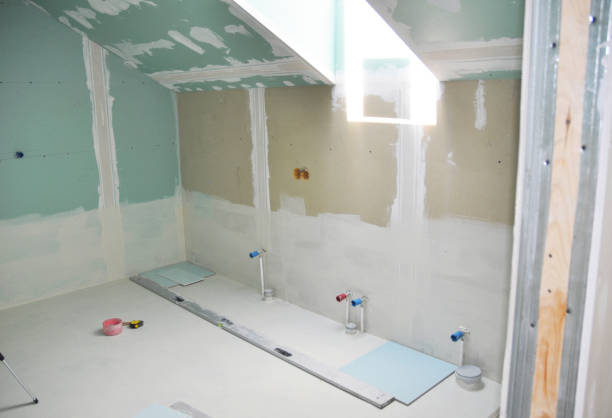 Best Black Mold Removal  in Savannah, TX
