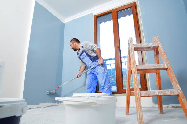 Trusted Savannah, TX Mold Removal Experts