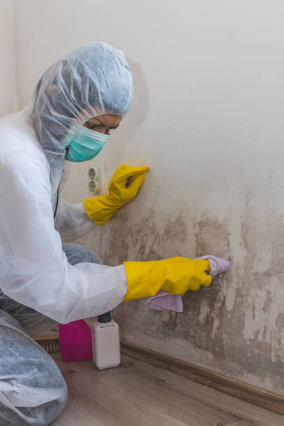Best Forensic Mold Investigation  in Savannah, TX